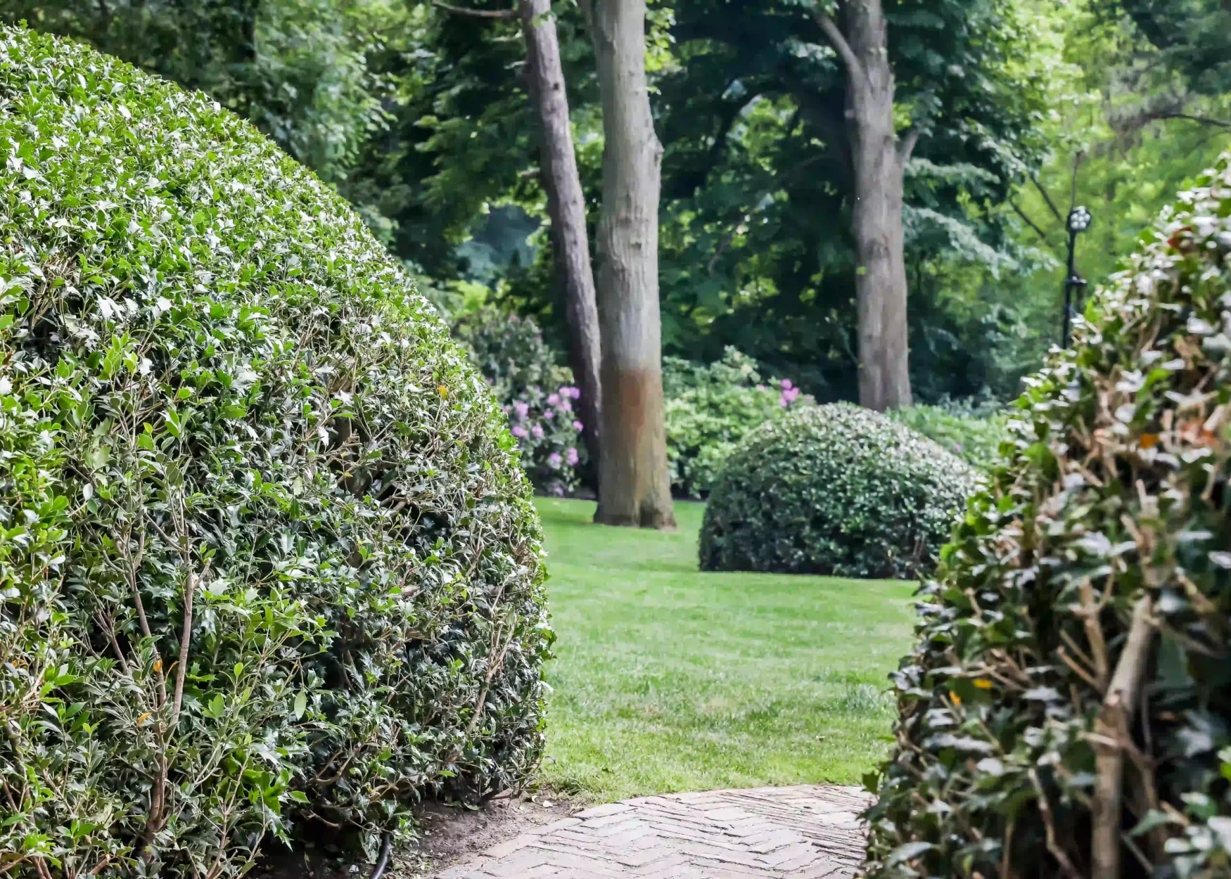 IGC Hoveniers - Hovenier scheveningen